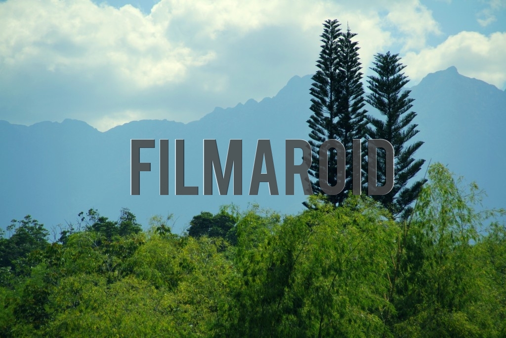 A section of the Andean mountains of the Farallones de Cali Colombia framed by tall bamboo trees