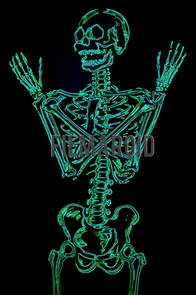 human skeleton arms