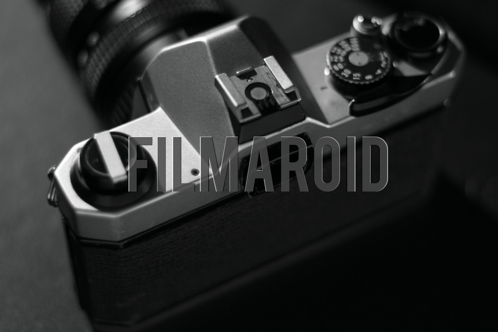 Back view of a vintage SLR camera in black and white