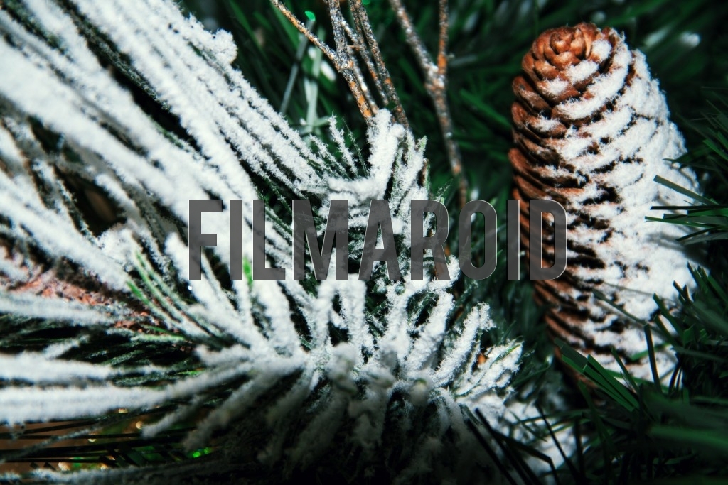 A pine cone Christmas tree ornament covered by a thin layer of snow