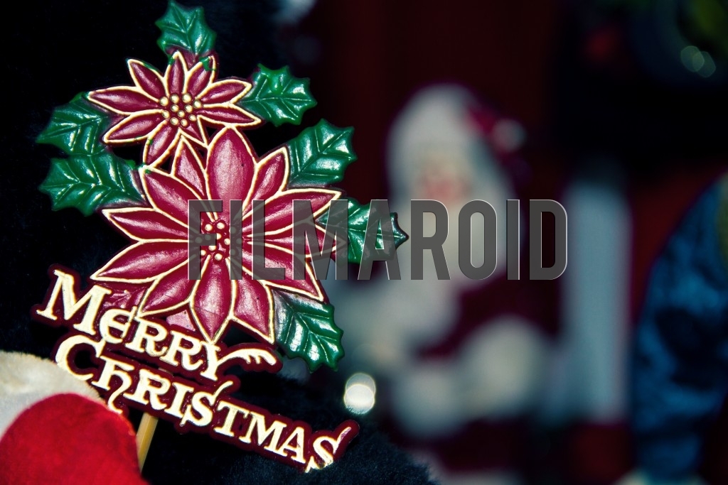 A Merry Christmas sign with flowers and santa in the background