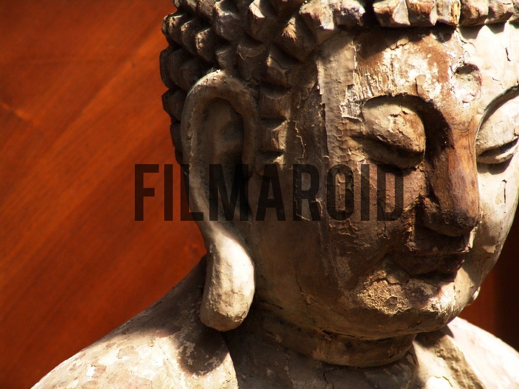 Big bust of Buddha - Wooden Buddha found in flea market in Paris