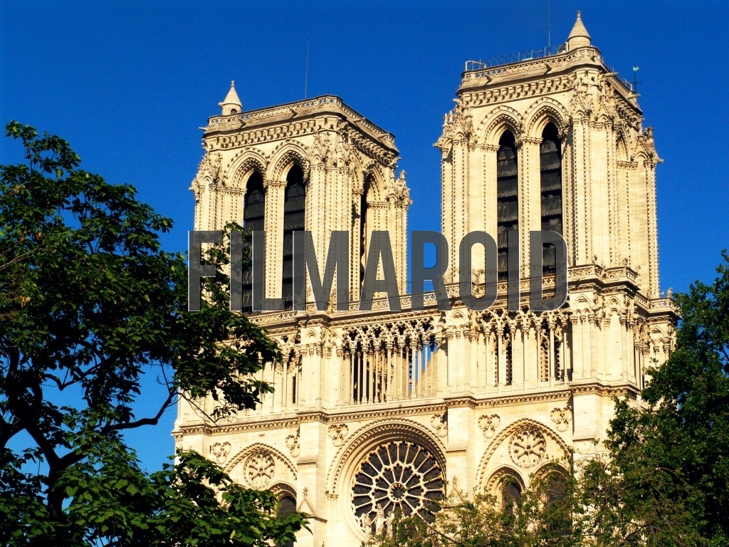Side view of the Cathedral of Notre Dame de Paris framed by some trees during one summer afternoon
