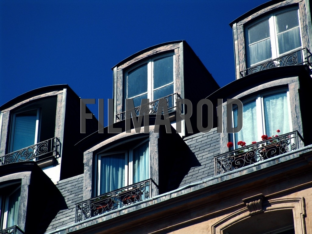 A set of parisian rooftop windows with red flowers and captured during one summer afternoon in the capital of France