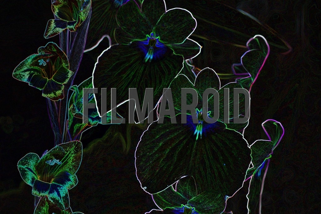 A beautiful and abstract floral background of exotic and tropical flowers with a glowing effect