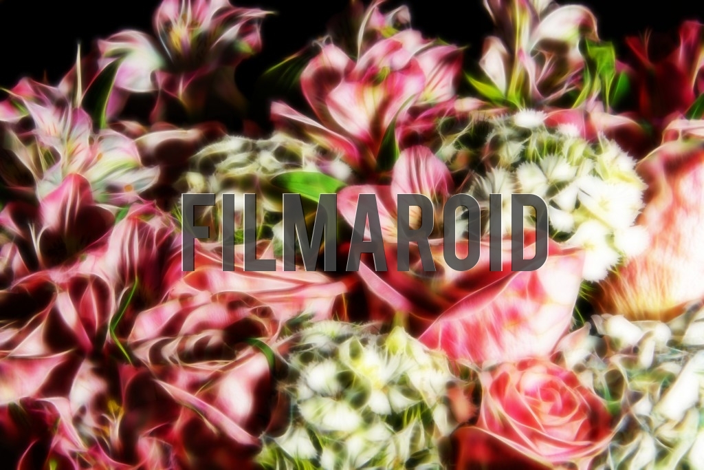 A group of fresh beautiful and exotic flowers carefully arranged with a dreamy look against a black background