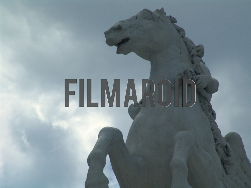 Close up of the Equestrian Statue of Louis XV present in Place de la Concorde in Paris